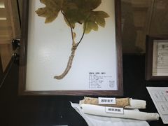 -广州花园酒店