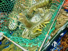-霞涌市场海鲜摆卖区