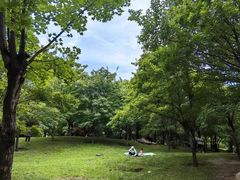 -清凉山国家森林公园
