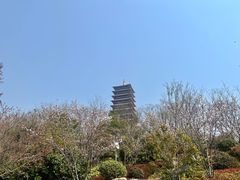 -牛首山文化旅游区