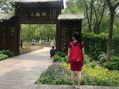 -艾溪湖湿地公园