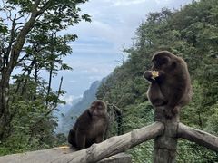 -峨眉山风景名胜区