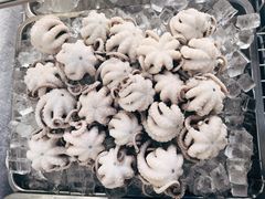 -铭聚章鱼土笋冻(松柏店)