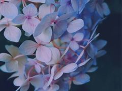 -酸喜·三度酸·贵州味