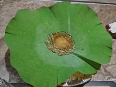 -松临·铁板烧&Omakase(神农店)