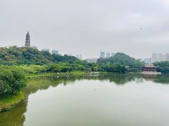 -顺峰山公园