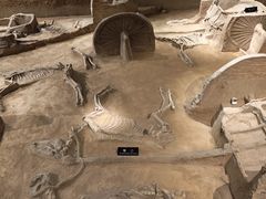 -洛阳周王城天子驾六博物馆