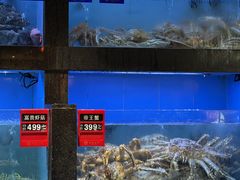 -1718海鲜姿造(苏宁宴请臻选店)