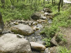-玉渡山自然风景区