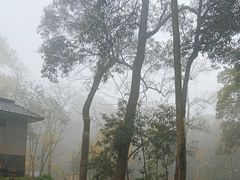 -中国大熊猫保护研究中心雅安碧峰峡基地