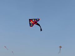 -丁香湖公园