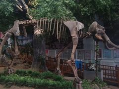 -中国第四纪冰川遗迹陈列馆