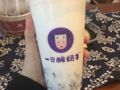 -一只酸奶牛(八一路店)