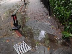 -骏景花园