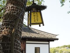 -沙家浜风景区