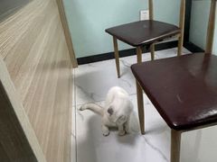-嘉馨宠物医院·CT影像转诊·心脏科·犬猫全科诊疗中心(下沙大学城院区)