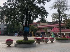 -矿泉游泳场