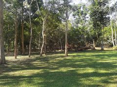 -中国科学院西双版纳热带植物园
