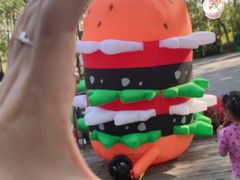 -合肥滨湖国家森林公园