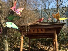 iphone_upload_pic-天目湖山水园