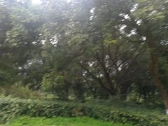 -张坝桂圆林公园