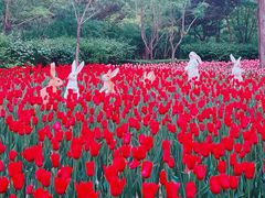 -长春市南湖公园