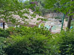 -湖泉半山温泉