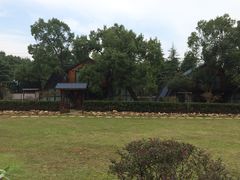 -陶祖圣境风景区