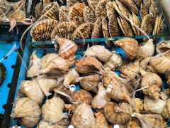 -大连湾旭日·家宴·海肠捞饭(马栏广场店)
