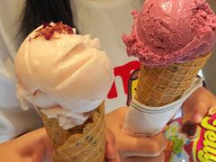 -莉莉熊Lililove Gelato (意大利手工冰淇淋)