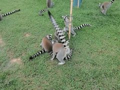 -杭州野生动物世界