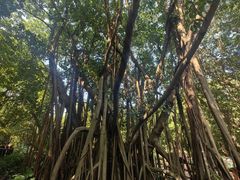 -麗枫酒店(广州番禺汉溪大石地铁站店)