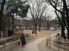 -井之头恩赐公园