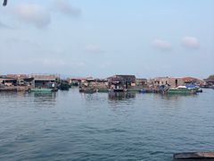 -蓝湾碧波·老字号·疍家非遗海上餐厅