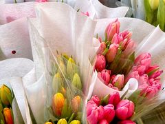 -循礼门鲜花花市(武汉循礼门店)