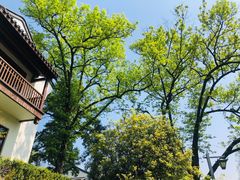 -杭州雅谷泉山庄酒店-餐厅