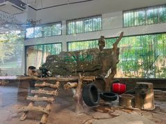 -宁波野生动物园