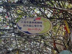 -厦门老院子景区