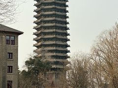 -博雅塔