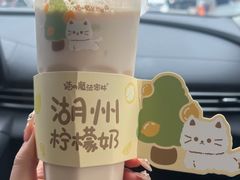 -猫的魔法密林(衣裳街店)