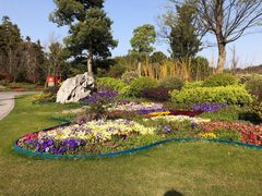 -南京银杏湖乐园