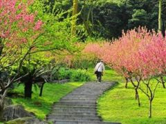 -桃花涧