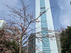 -天河体育中心