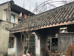 -金科花卉市场