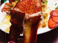 龙虾-老郑海鲜楼(天桥店)