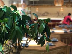 -钟太婆老妈蹄花(春熙路店)