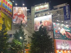 -Animate(秋叶原本馆)