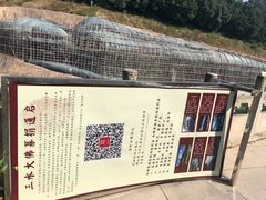 -三水森林公园