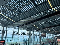 -西沃古尔·拉姆古兰爵士国际机场