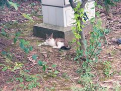 -南京信息职业技术学院